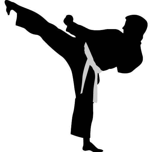 Sports Game Taekwondo Image